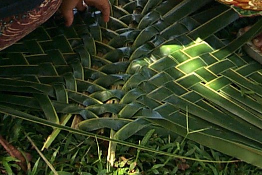 palm frond mat palm frond mat
