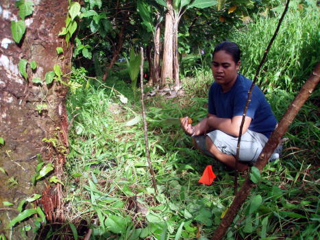 elterina_orienting_image elterina_orienting_image